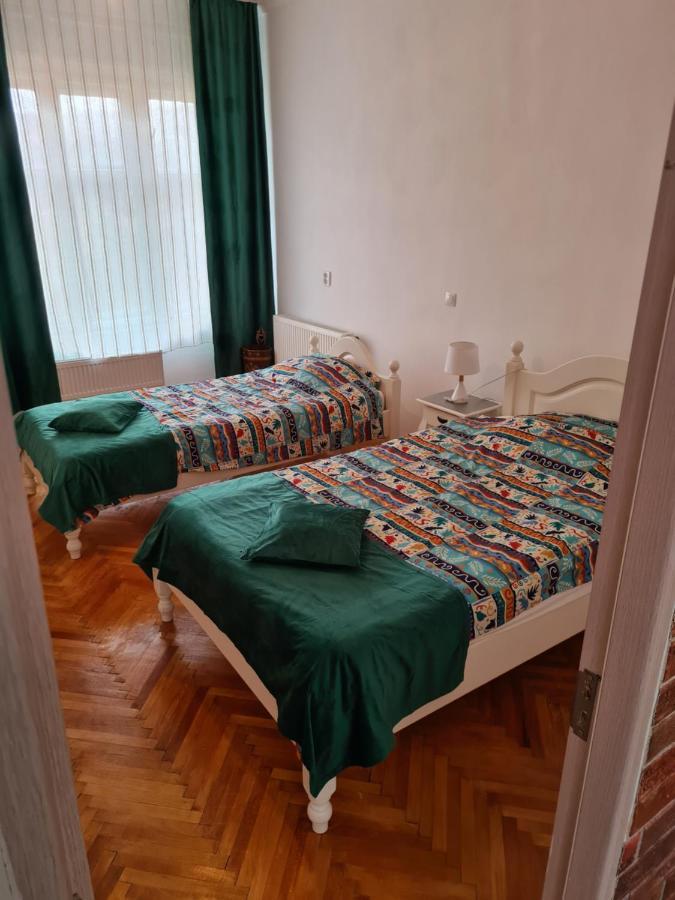 Stradela Cetatii Apartment 锡吉什瓦拉 外观 照片