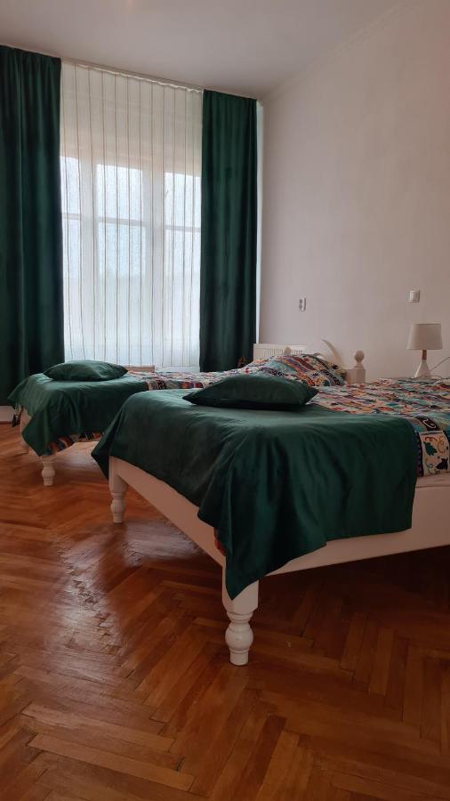 Stradela Cetatii Apartment 锡吉什瓦拉 外观 照片