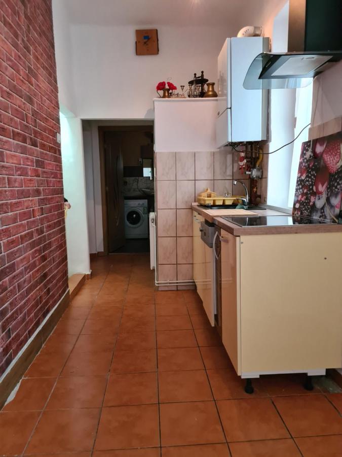 Stradela Cetatii Apartment 锡吉什瓦拉 外观 照片