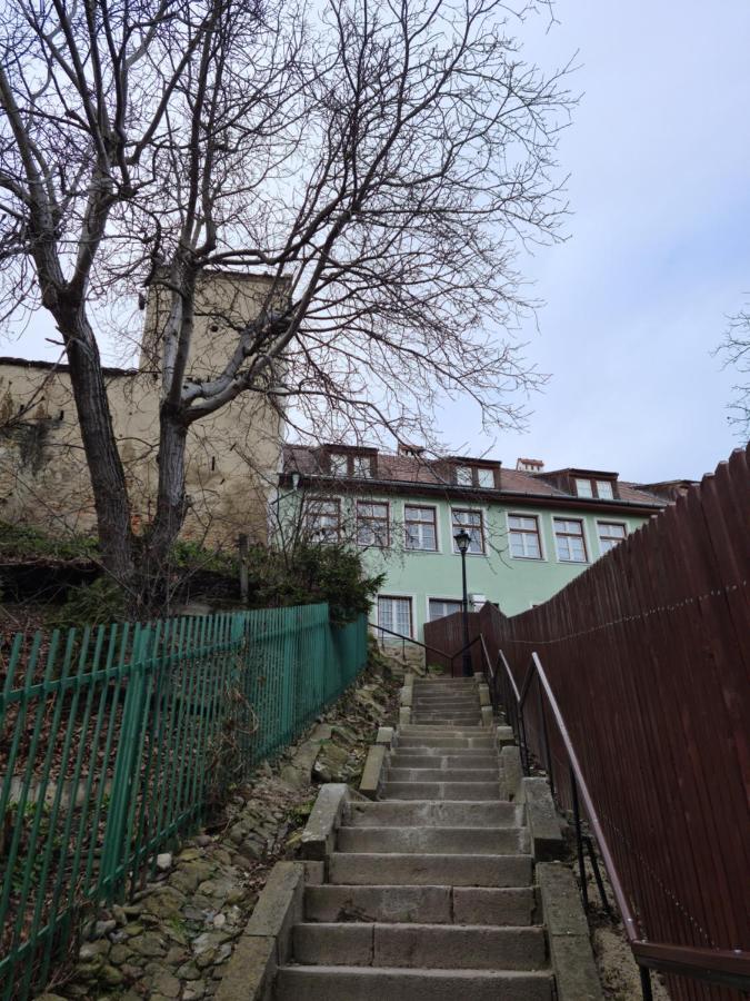 Stradela Cetatii Apartment 锡吉什瓦拉 外观 照片